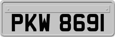 PKW8691