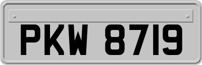 PKW8719