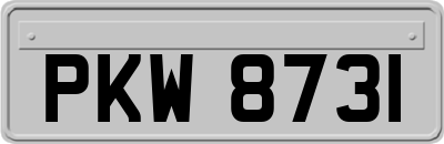 PKW8731