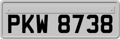 PKW8738