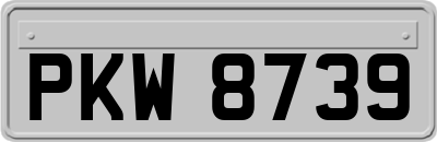 PKW8739