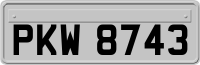 PKW8743