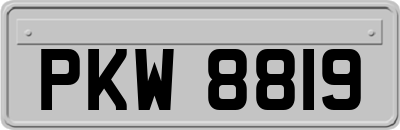 PKW8819