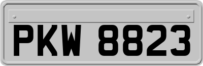 PKW8823