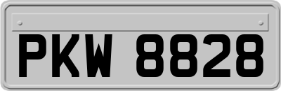 PKW8828