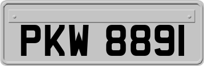 PKW8891