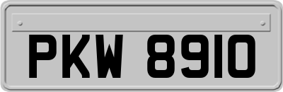 PKW8910