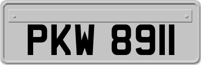 PKW8911