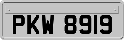 PKW8919