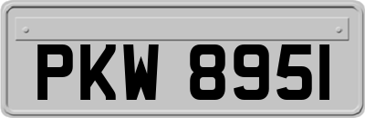 PKW8951