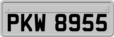 PKW8955