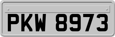 PKW8973