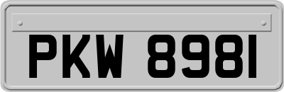 PKW8981