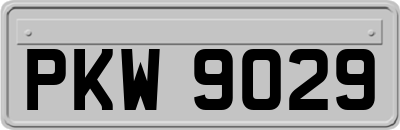 PKW9029