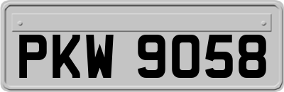 PKW9058