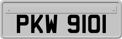 PKW9101