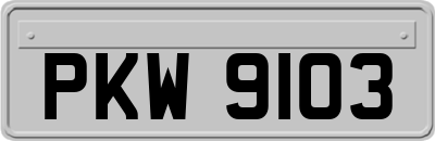 PKW9103