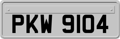 PKW9104