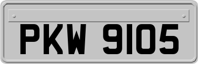 PKW9105