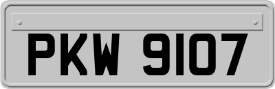 PKW9107
