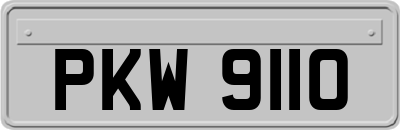 PKW9110