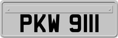 PKW9111