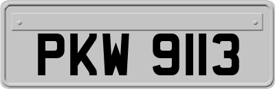 PKW9113