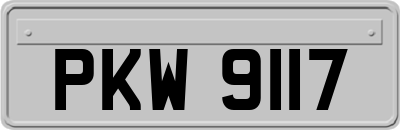 PKW9117