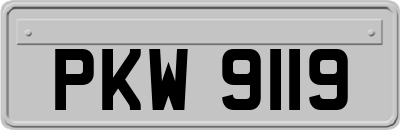 PKW9119