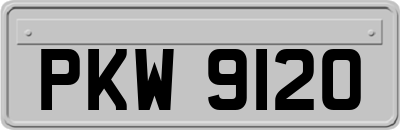 PKW9120