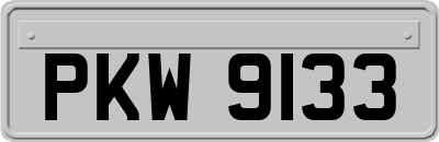 PKW9133