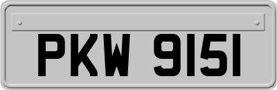 PKW9151