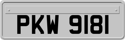 PKW9181