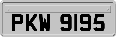 PKW9195