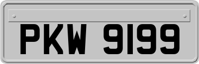 PKW9199