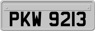 PKW9213