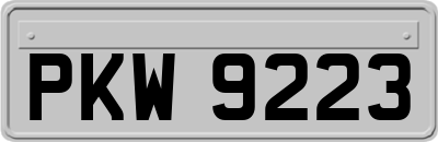 PKW9223
