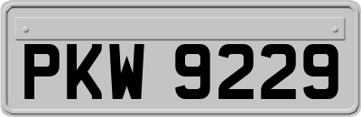 PKW9229