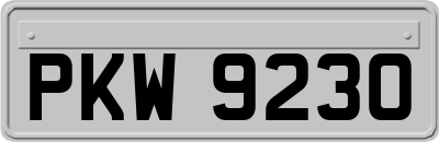 PKW9230