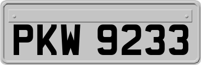 PKW9233