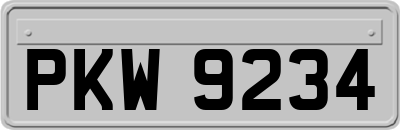 PKW9234