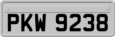 PKW9238
