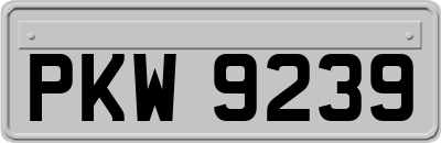 PKW9239