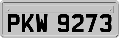 PKW9273