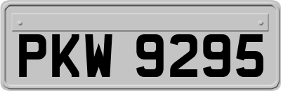 PKW9295