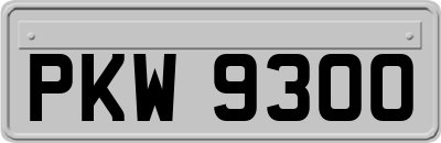 PKW9300
