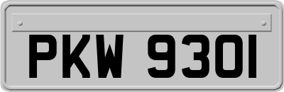 PKW9301