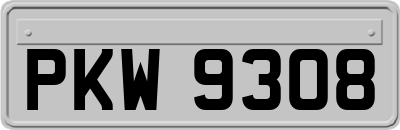 PKW9308