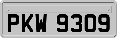 PKW9309
