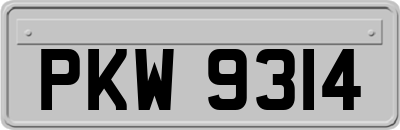 PKW9314